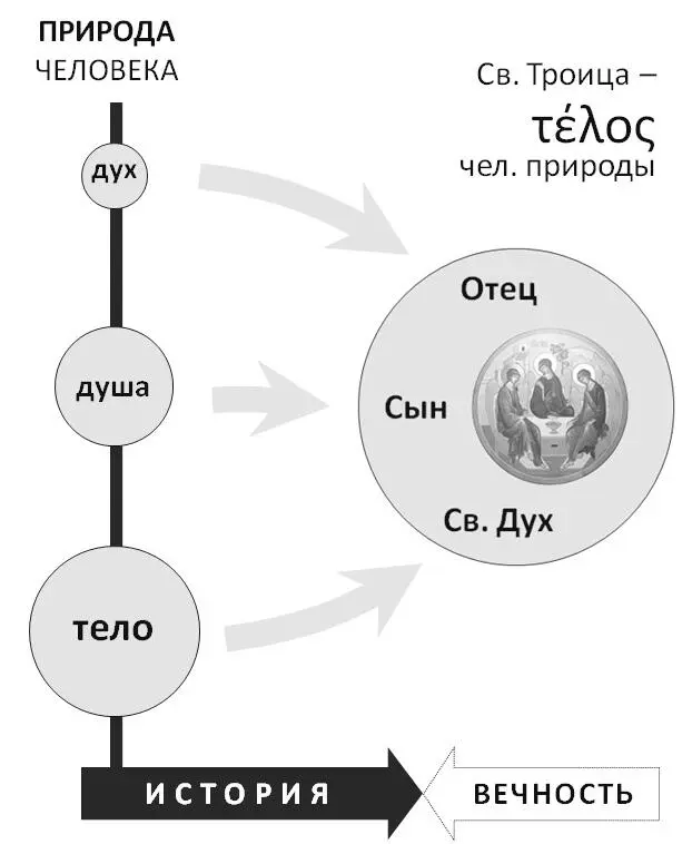 Святая Троица выступает здесь очевидно не только τελοςом но и прообразом - фото 15