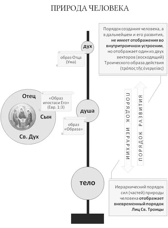 Как представляется эта схема может иметь и реверсивную интерпретацию которая - фото 16