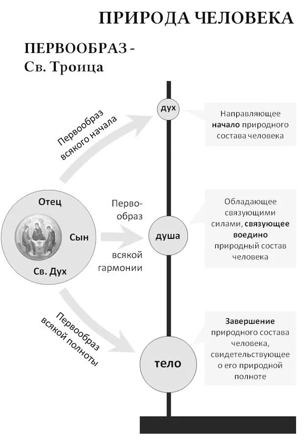 Как представляется эта схема может иметь и реверсивную интерпретацию которая - фото 17