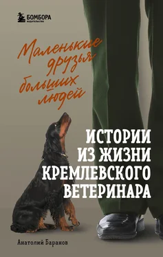 Анатолий Баранов Маленькие друзья больших людей. Истории из жизни кремлевского ветеринара обложка книги
