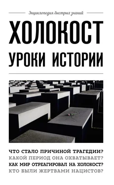 Артем Белевич Холокост. Уроки истории обложка книги