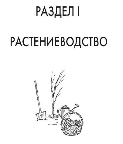 Глава 1 Овощеводство Овощеводство одна из отраслей растениеводства которая - фото 2