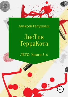 Алексей Галушкин ЛисТик ТерраКота. Лето. Книги 5–6 обложка книги