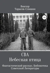 Виктор Тарасов-Слишин - Сва. Небесная птица