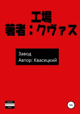 Квасецкий Завод обложка книги