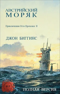 Джон Биггинс Австрийский моряк обложка книги