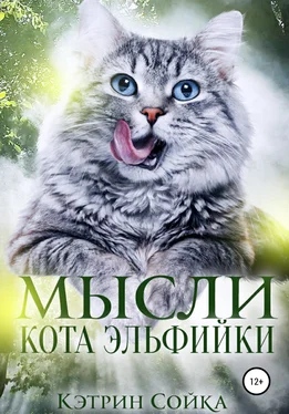 Кэтрин Сойка Мысли кота эльфийки обложка книги