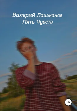 Валерий Лашманов Пять Чувств обложка книги