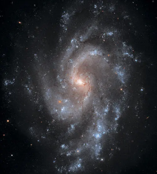 NGC 5584 флокуляционная спиральная галактика сияющая новыми молодыми синими - фото 19