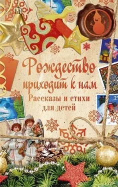 Сборник Рождество приходит к нам. Рассказы и стихи для детей обложка книги