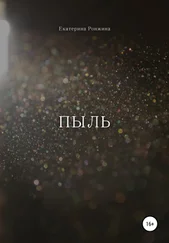 Екатерина Ронжина - Пыль