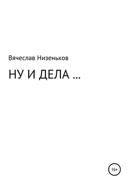Вячеслав Низеньков Ну и дела… обложка книги