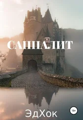 Эд Хок - Саппалит