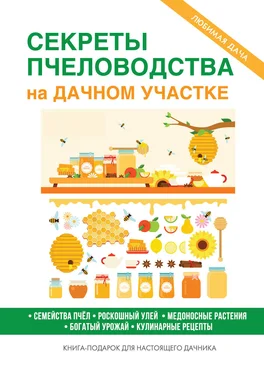 Сергей Кашин Секреты пчеловодства на дачном участке обложка книги