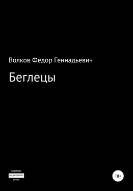 Федор Волков Беглецы обложка книги