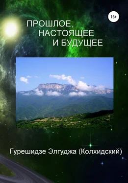 Элгуджа (Колхидский) Гурешидзе Прошлое, настоящее и будущее обложка книги