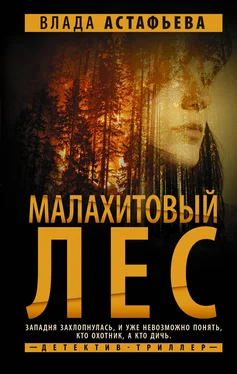 Влада Астафьева Малахитовый Лес обложка книги