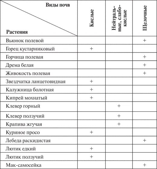 Окончание табл 1 По ручью времени До нас дошли сведения о садах Древнего - фото 1