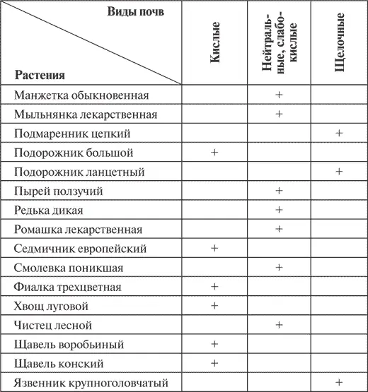 По ручью времени До нас дошли сведения о садах Древнего Египта которые - фото 2