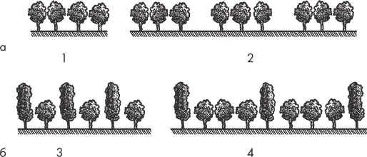 Рис 5 Варианты ритмических чередований деревьев а простой ритмический ряд - фото 8