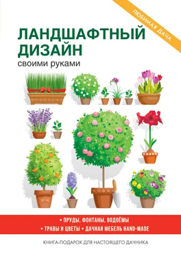 Сергей Кашин Украшаем сад своими руками обложка книги