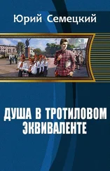 Юрий Семецкий - Душа в тротиловом эквиваленте