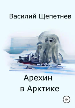 Василий Щепетнев Арехин в Арктике