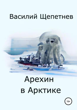 Василий Щепетнев Арехин в Арктике обложка книги