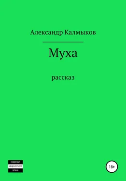 Александр Калмыков Муха обложка книги