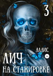 Алаис - Лич на стажировке. Часть 3