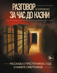 Владимир Короленко - Разговор за час до казни. Рассказы о преступниках, суде и камере смертников