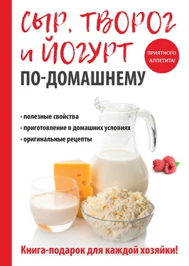 Анна Антонова Сыр, творог и йогурт по-домашнему обложка книги