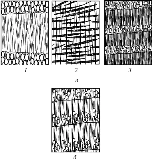 Рис 5 Разновидности группирования сосудов а у кольцесосудистых пород 1 - фото 11