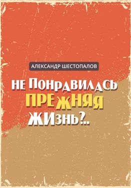 Александр Шестопалов Не понравилась прежняя жизнь обложка книги