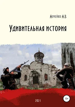 Максим Мочейко Удивительная история обложка книги