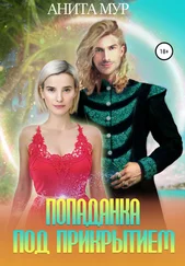 Анита Мур - Попаданка под прикрытием