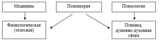 Пациент в таком случае не должен восприниматься как биологический объект и как - фото 18