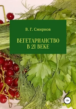 Виктор Смирнов Вегетарианство в 21 веке обложка книги