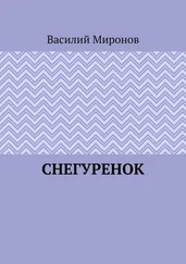 Василий Миронов - Снегуренок