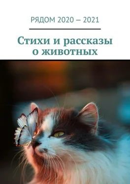 Екатерина Хозяинова Стихи и рассказы о животных обложка книги