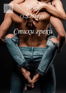 Петр (J.S. Happy) Стихи-грехи обложка книги