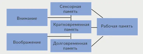 Из кратковременной памяти важная информация переходит в долговременную где - фото 5
