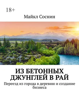 Майкл Соснин Из бетонных джунглей в рай. Переезд из города в деревню и создание бизнеса обложка книги