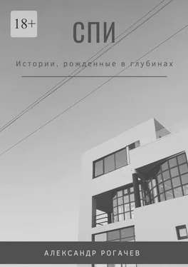 Александр Рогачев Спи обложка книги