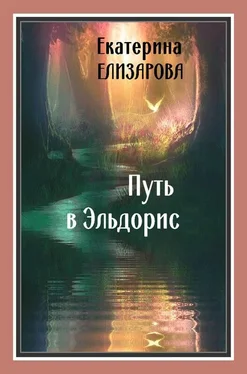 Екатерина Елизарова Путь в Эльдорис обложка книги