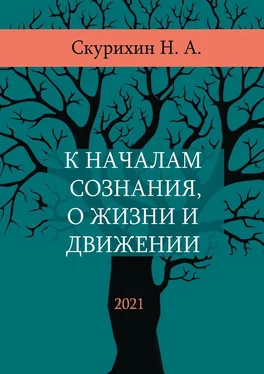 Николай Скурихин К началам сознания, о жизни и движении обложка книги