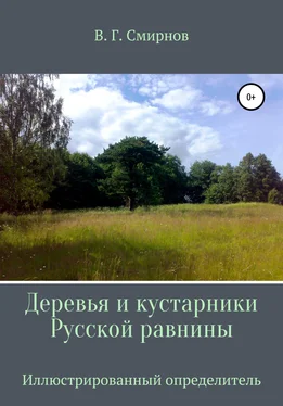 Виктор Смирнов Деревья и кустарники Русской равнины обложка книги