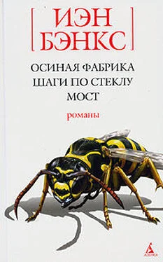 Иэн Бэнкс Шаги по стеклу обложка книги