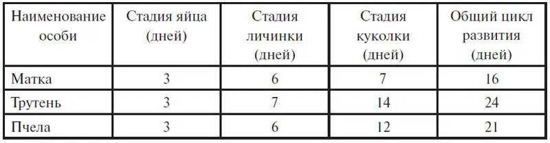 Таблица 2 Развитие функций у особей пчел в днях жизни Если в первой - фото 16