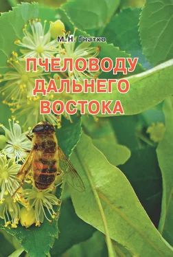 Михаил Гнатко Пчеловоду дальнего Востока обложка книги